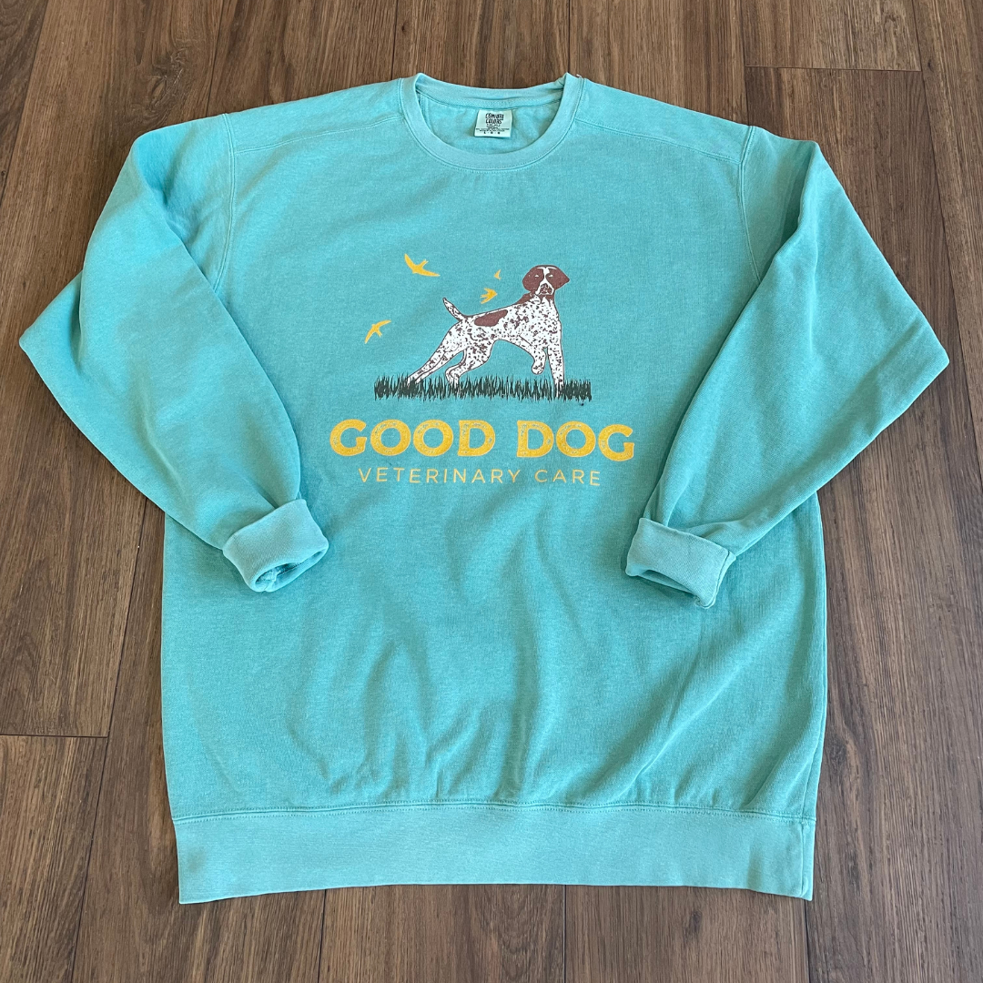 Good Dog Veterinary Care Sweatshirt - Seafoam